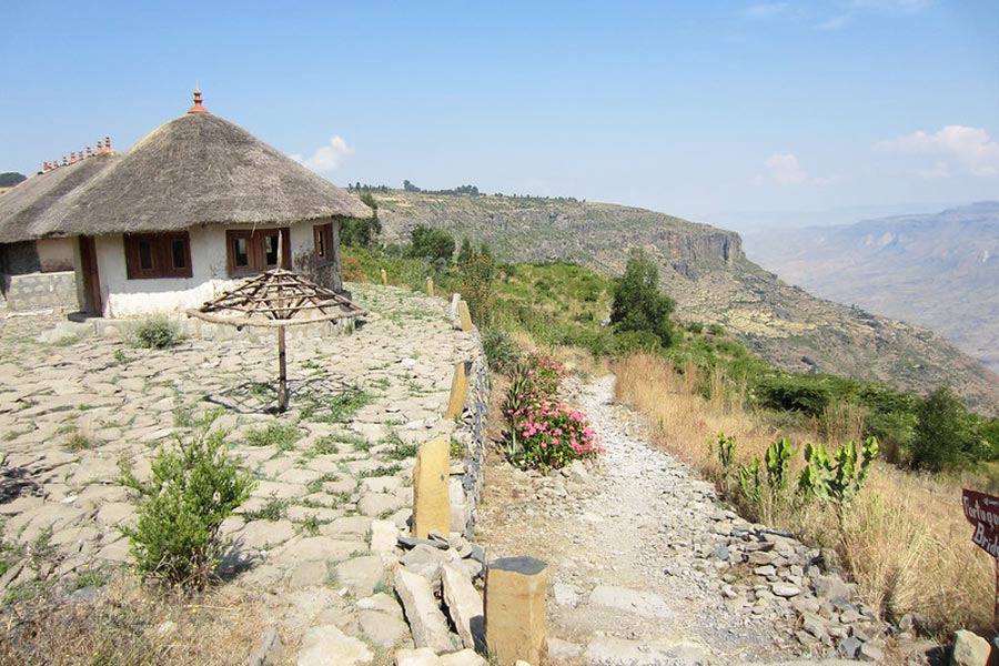 banner-image