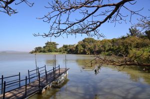 Boat tarnsport to Lake Tana monasteries