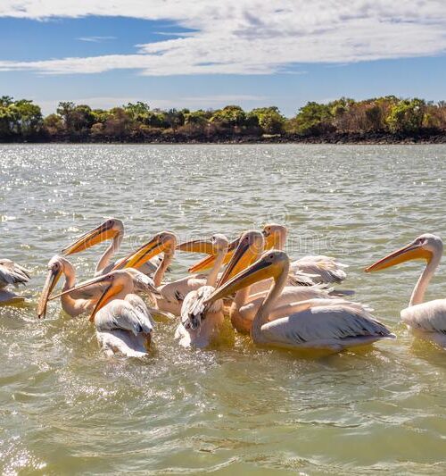 LAKE TANA & ANCIENT MONASTERIES – 